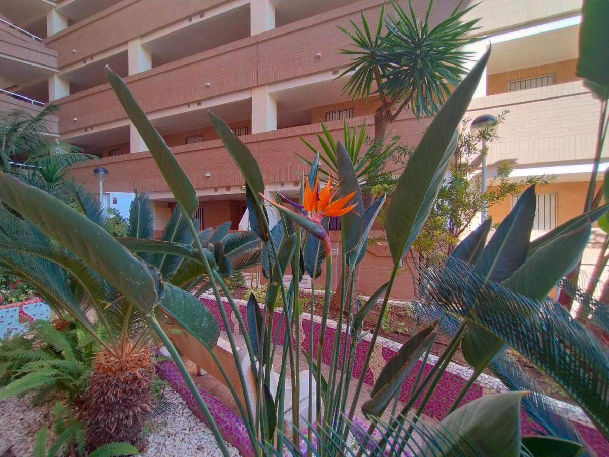 Acv - Costa Caribe I-2ª Linea Planta 1 Sur Lejlighed Oropesa del Mar Eksteriør billede